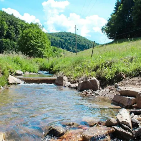 Mountain Biker S Farmstay, Cleaning Included 아파트 빌린겐슈베닝겐